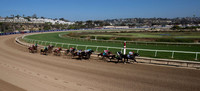 Breeders Cup 2025